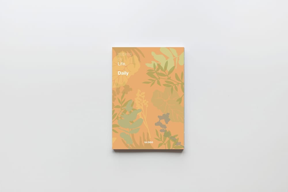 Daily catalogue art direction for Ceramica Globo